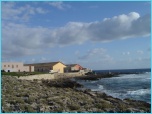 clicca per allargare